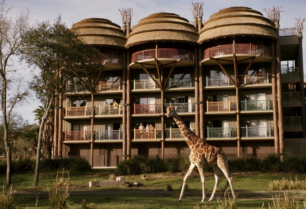 Animal Kingdom Lode featuring a giraffe