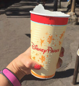 Top 10 ways to stay cool at walt disney world drink water