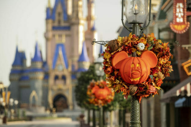 Fall At Disney