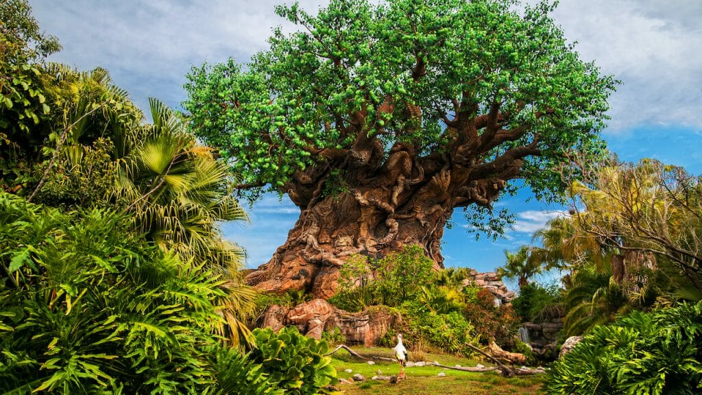 Earth Day Tree of Life