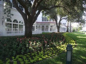 grand floridian disney training 023