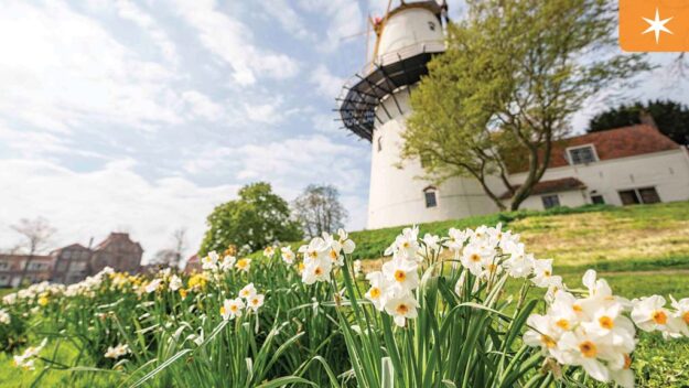 Adventures by Disney Holland and Belgium